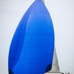 Asymmetric Sail for Oyster 745 by Dolphin Sails