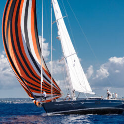Dolphin Sails Asy