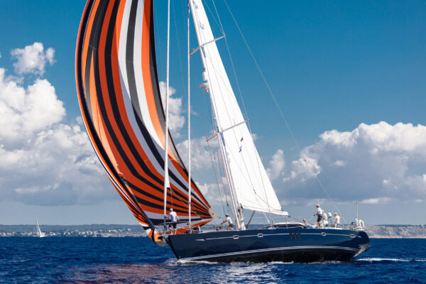 Dolphin Sails Asy