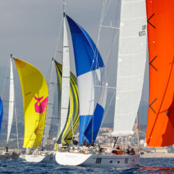 Oyster 565 Sailcloth