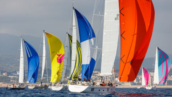 Oyster 595 Sail Cloth
